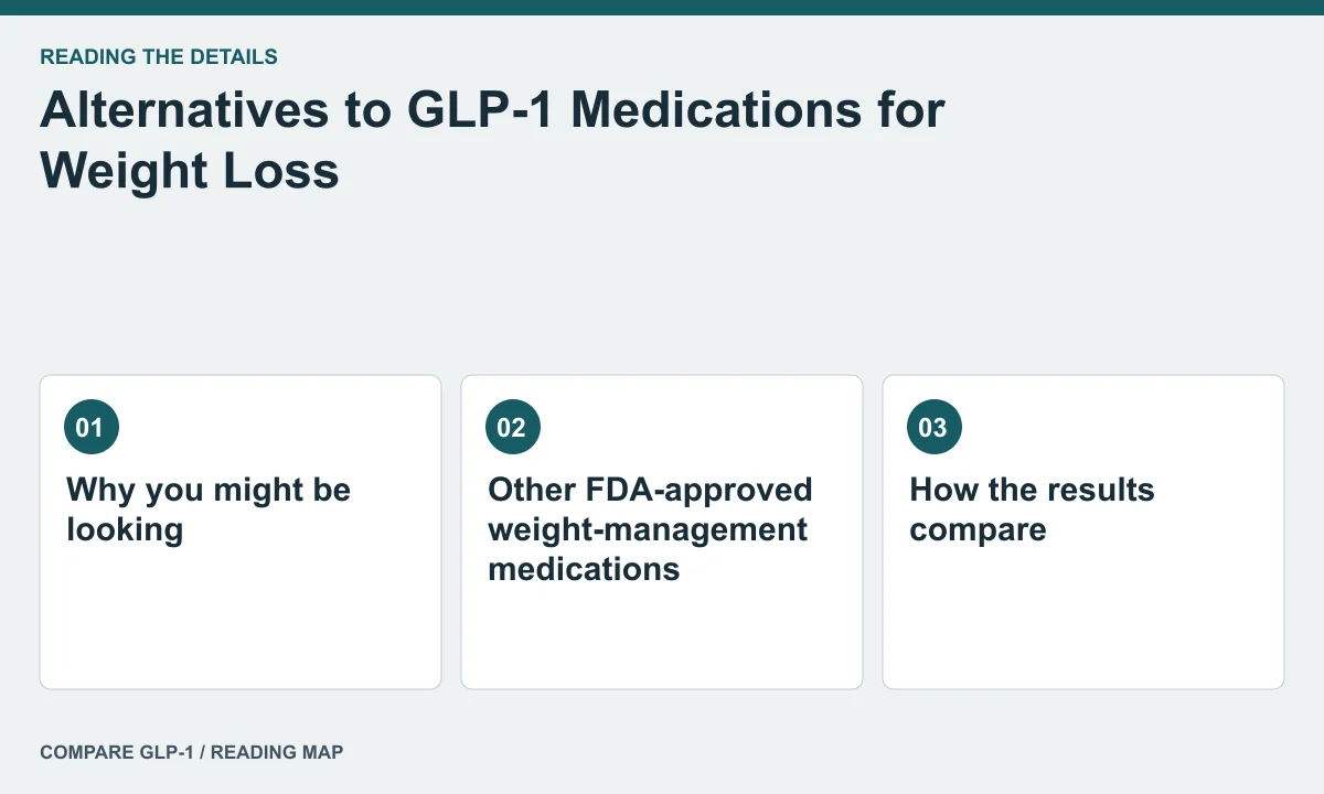 Alternatives to GLP-1 Medications for Weight Loss — illustrated reading map